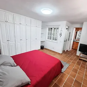 casa-luz-precioso-apartamento-en-el-centro-del-puerto.in-canary-islands.com/